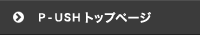 エドワードシステムP-USHトップ